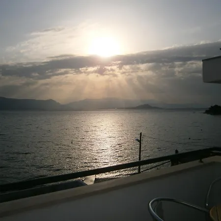 Marija Trogir